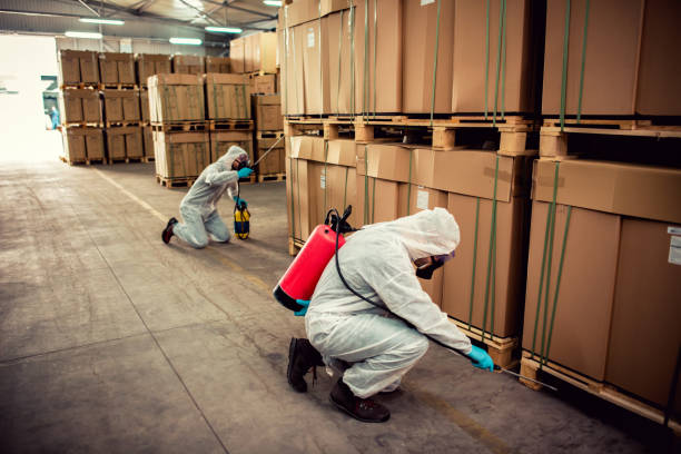Best Residential Pest Control  in Coal Valley, IL