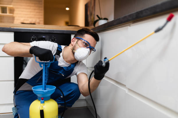 Best Pest Inspection Near Me  in Coal Valley, IL