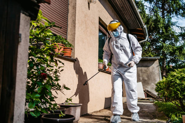 Best Best Pest Control Companies  in Coal Valley, IL