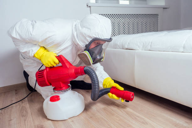 Best Termite Control Services  in Coal Valley, IL