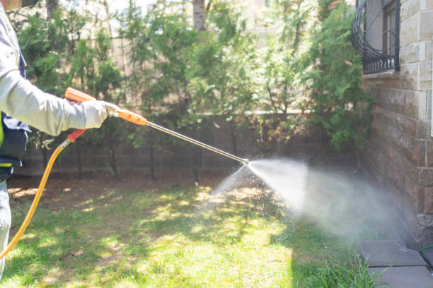 Best Wasp Removal Services  in Coal Valley, IL
