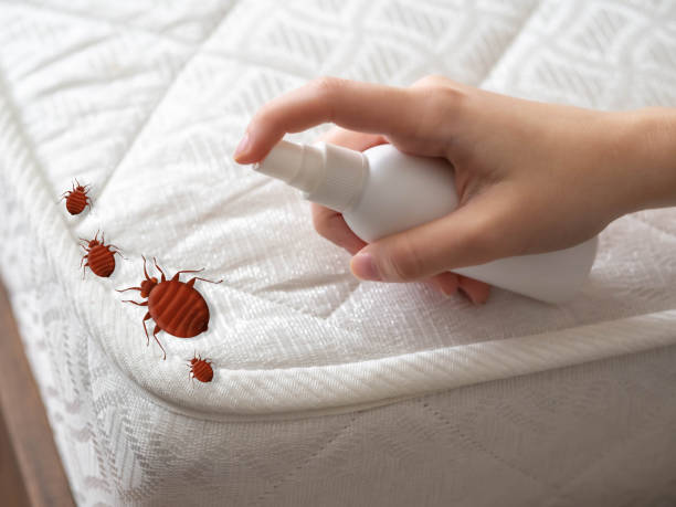 Best Mosquito Control Services  in Coal Valley, IL